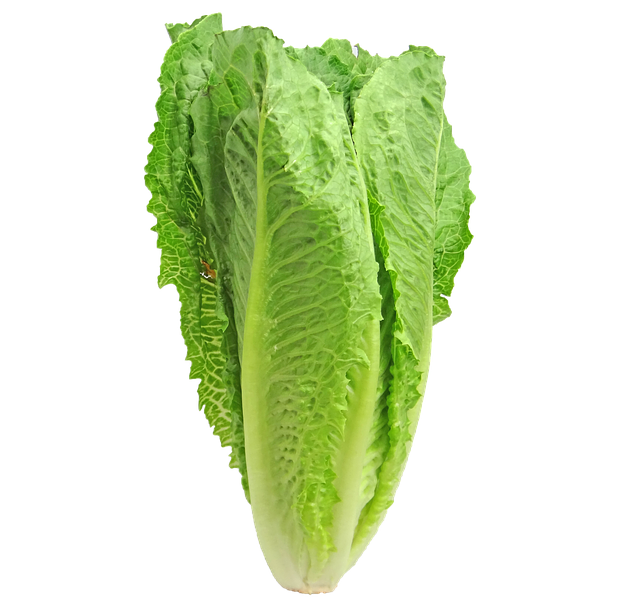 rimsky salat
