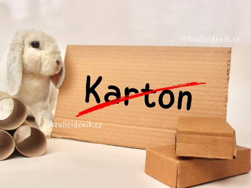 karton kralik