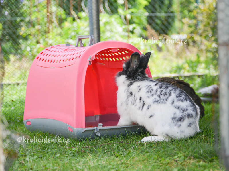 zvykání si na přepravku