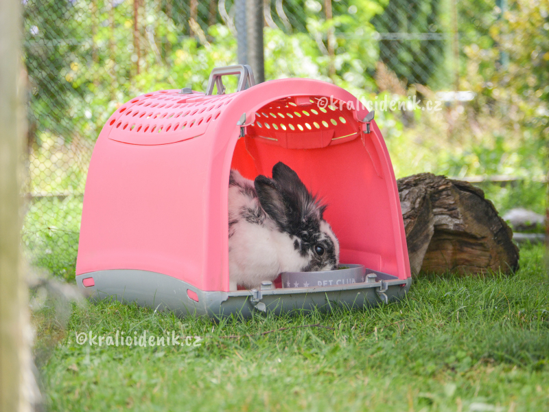 zvykání si na přepravku