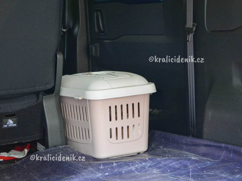 přeprava králíka v kufru