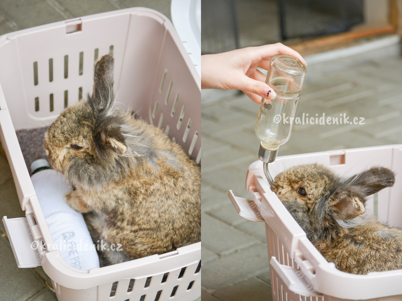 cestování v létě