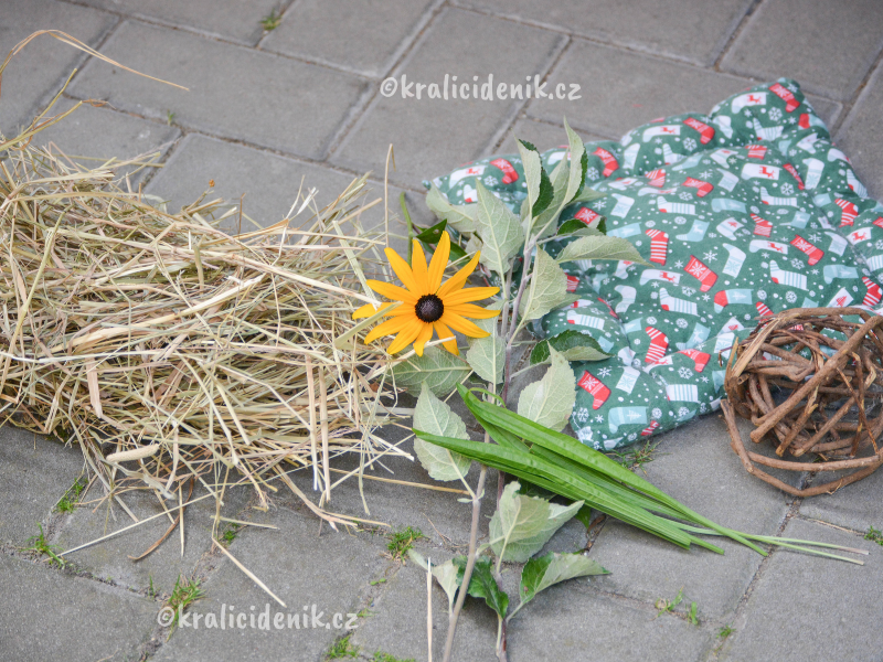 příprava na odjezd