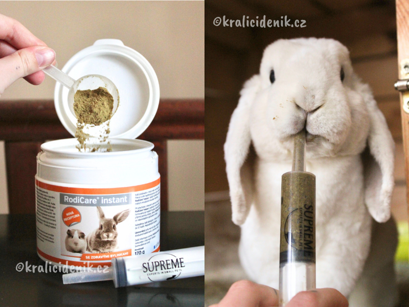 dokrmování seniora