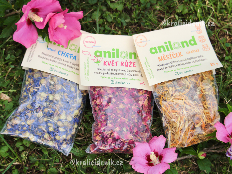 Chrpa, růže a měsíček Aniland