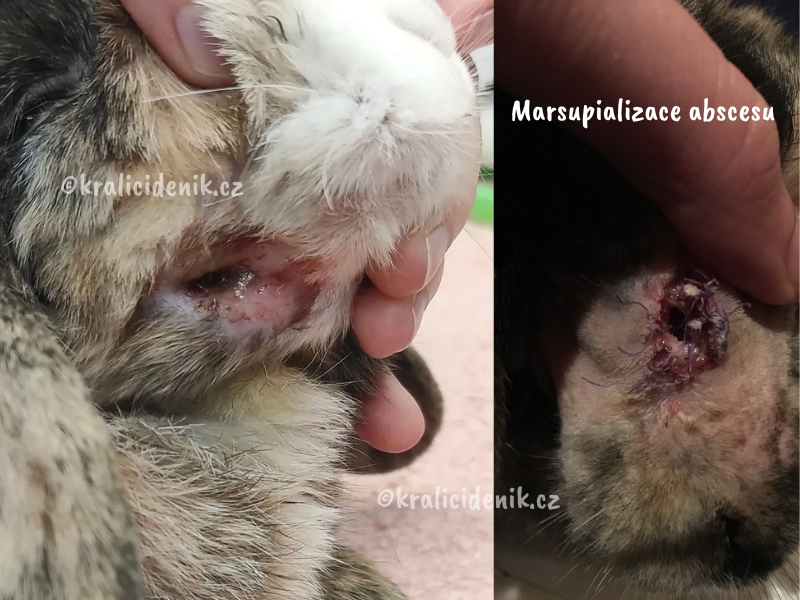 absces po ošetření